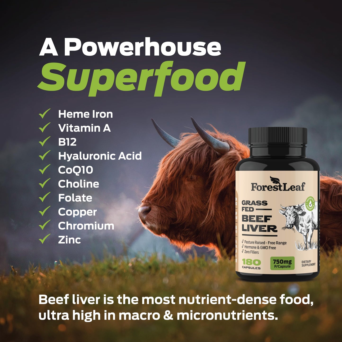 ForestLeaf Grass Fed Beef Liver Capsules, 3000mg Per Serving, Supports Full Immunity & Body Wellnes, Cleansing, Digestion, Natural Iron, Vitamin A and B12, Freeze Dried Beef Liver Supplement, 180 Caps