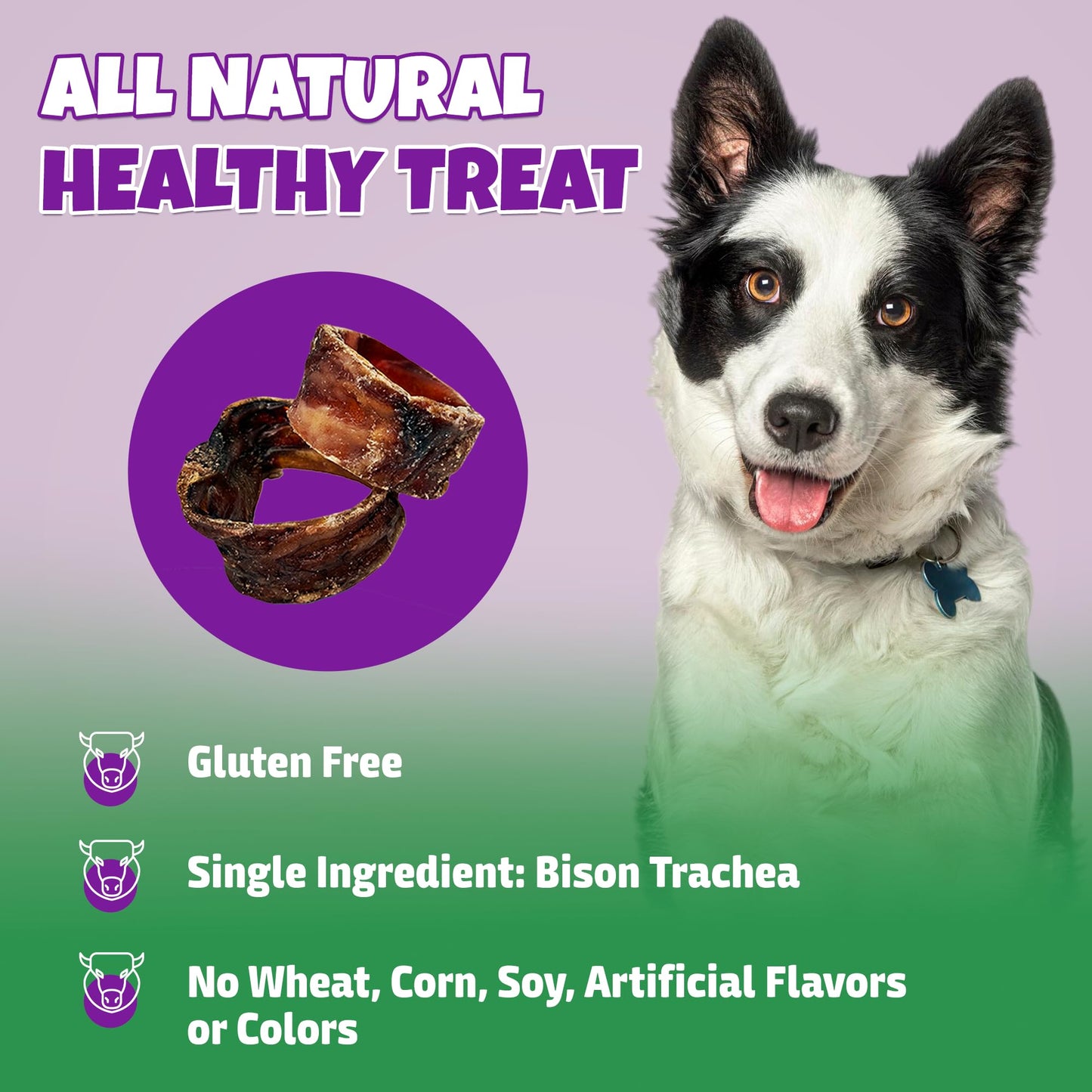 Lively Tails Trachea Dog Chews 15-Pack, 100% Bison Dog Treats, Natural Glucosamine & Chondroitin for Hip and Joint Support, Grain-Free, Rawhide-Free, Low-Fat Trachea for Dogs, 12 oz Bag