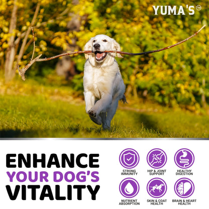 Dog Multivitamin Chewable with Glucosamine - Dog Vitamins and Supplements - Senior & Puppy Multivitamin for Dogs - Hip & Joint Support - Immune Health, Skin, Heart, Digestion, Probiotics