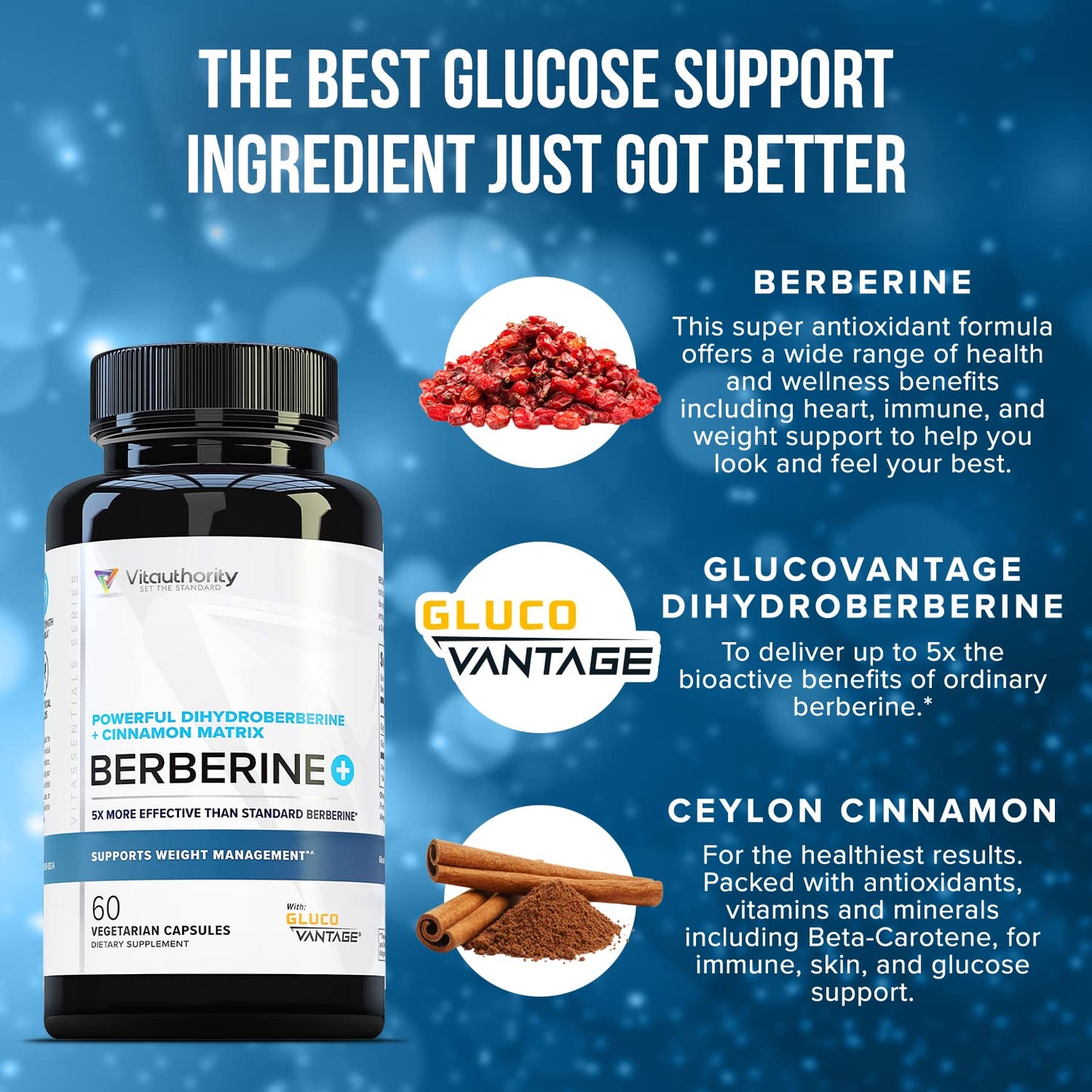 Vitauthority Berberine with Ceylon Cinnamon Supplements | High Absorption Dihydroberberine for Balance and Support | Vegan Powerful AMPk Activator & Antioxidant | 30 Servings