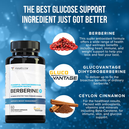 Vitauthority Berberine with Ceylon Cinnamon Supplements | High Absorption Dihydroberberine for Balance and Support | Vegan Powerful AMPk Activator & Antioxidant | 30 Servings