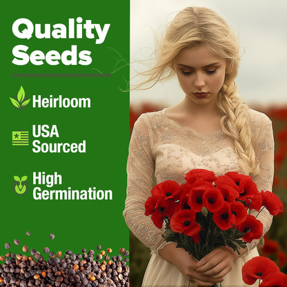 HOME GROWN American Legion Red Poppy Seeds - 6,000 Vibrant Wildflower Seeds for Planting Outdoors - Perennial Poppy Flowers - Memorial Garden & Pollinator Friendly (Papaver rhoeas)