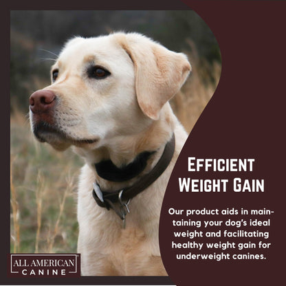 All American Canine Dog Weight Gainer – High Calorie Dog Food Supplement & Protein Powder for Rapid Weight Gain, Mass, and Recovery – Appetite Stimulant – 60 Servings