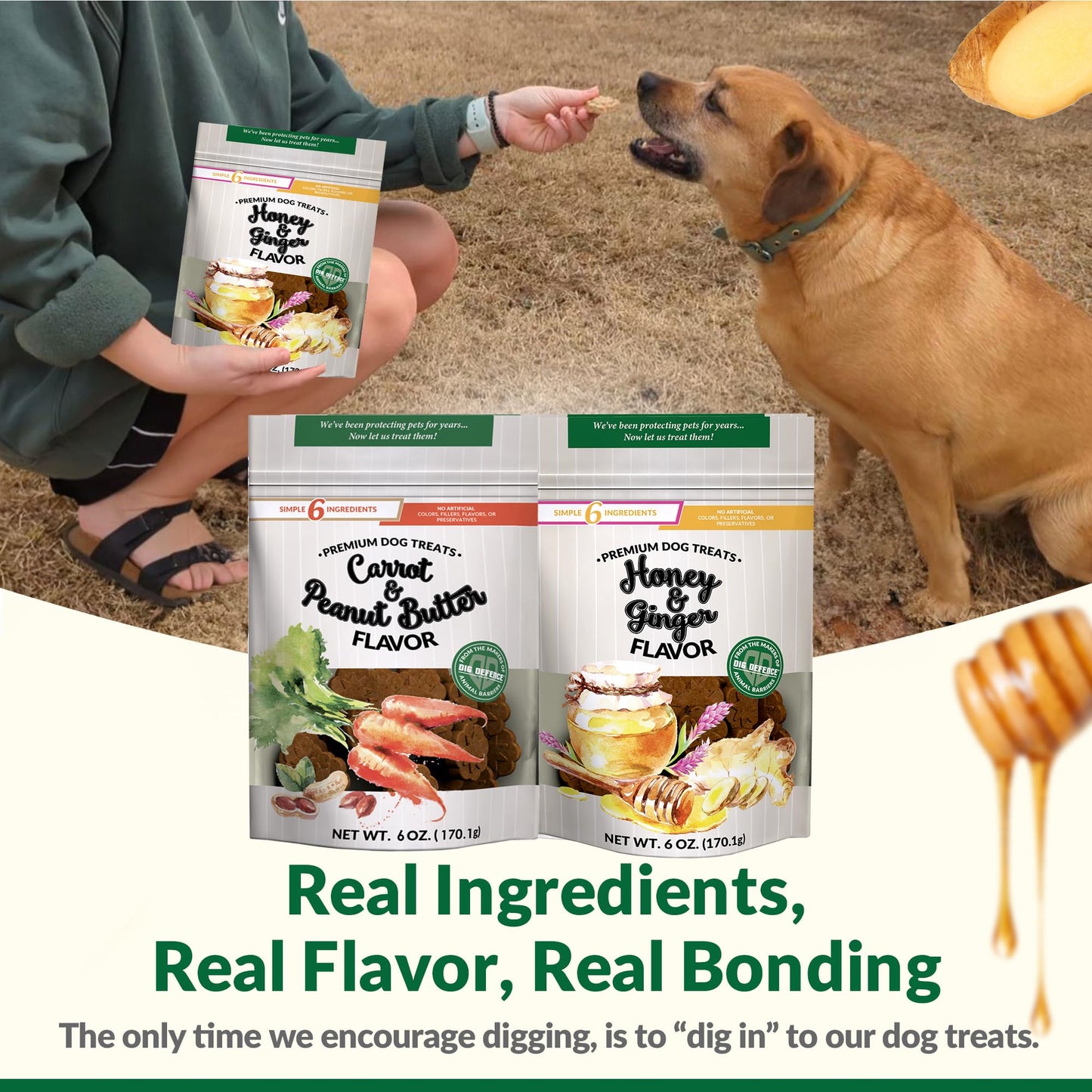 Dig Defence Premium Dog Treats - Honey/Ginger and Carrot/Peanut Butter, Natural Ingredients, Baked Gourmet Snacks for Small & Big Dogs, Healthy Training Treat, 2 Pack