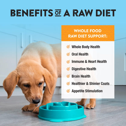 Northwest Naturals Freeze - Grain Free Dog Food - Bite-Sized Nuggets - Healthy - Limited Ingredients, Human Grade Dog Food - All Natural - Made in The USA