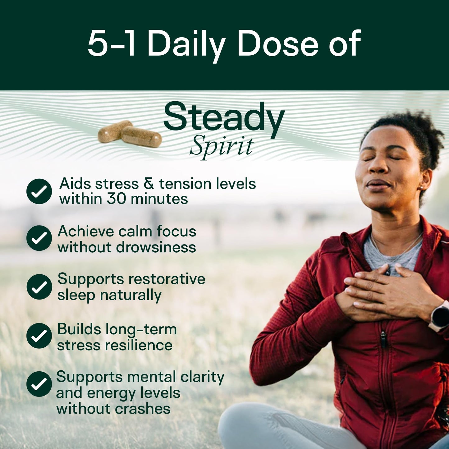 Adapt Naturals Steady Spirit Stress, Anxiety & Mood Support Supplement for Women and Men with Ashwagandha, L-Theanine, Holy Basil, Saffron, and Lemon Balm - Stress Relief Supplement - 60 Day Supply