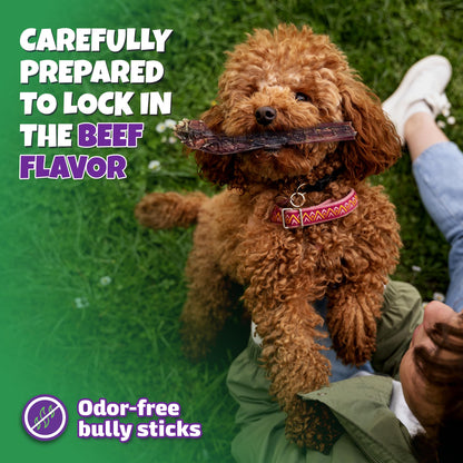 Bully Sticks for Dogs Sourced & Made in USA, All-Natural Taste, Shape, & Color, 6 inch Pizzle Sticks, Bully Bones for Small and Medium Dogs, Includes 12 to 14 Rawhide-Free Treats Per Bag, 8oz
