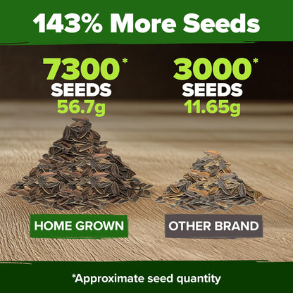 HOME GROWN Zinnia Seeds for 2025 - California Giant Mix - 7,300+ (2 oz) 𝗡𝗢𝗡-𝗚𝗠𝗢 𝗨𝗦𝗔 Plant Wildflower Blooms – Bulk Seeds for Planting Flowers Outside - Pollinator Gardens (Zinnia elegans)