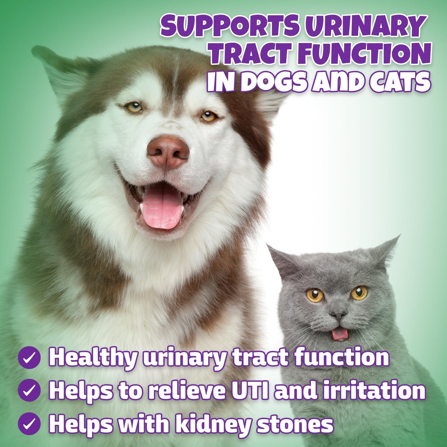 Natural Dog & Cat UTI Treatment with Cranberry & D-Mannose, Bladder, Kidney, Incontinence Support, Healthy Urinary Tract for Dogs, Best Cat Urinary Tract Infection Treatment, Easy-to-Use Drops, 2 oz