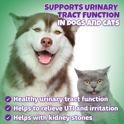 Natural Dog & Cat UTI Treatment with Cranberry & D-Mannose, Bladder, Kidney, Incontinence Support, Healthy Urinary Tract for Dogs, Best Cat Urinary Tract Infection Treatment, Easy-to-Use Drops, 2 oz