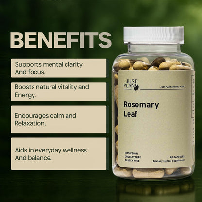 Rosemary Leaf Extract 500mg, 90 Vegan Capsules, Herbal Supplement for Memory, Focus, Digestion, Inflammation & Hair Health, Gluten-Free, Plant-Based