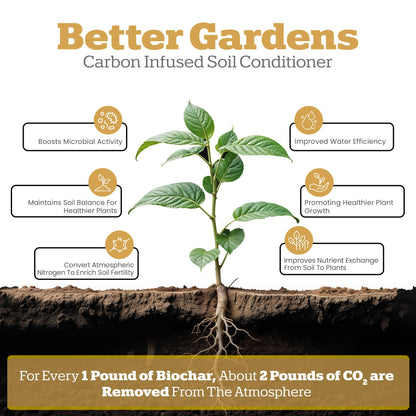 Wakefield Biochar Blend Potting Mix for Cactus & Succulent – Premium Potting Soil Blend with CarbonBoost Technology for Superior Drainage, Moisture Retention & Root Growth – 2 QT Organic Soil Mix