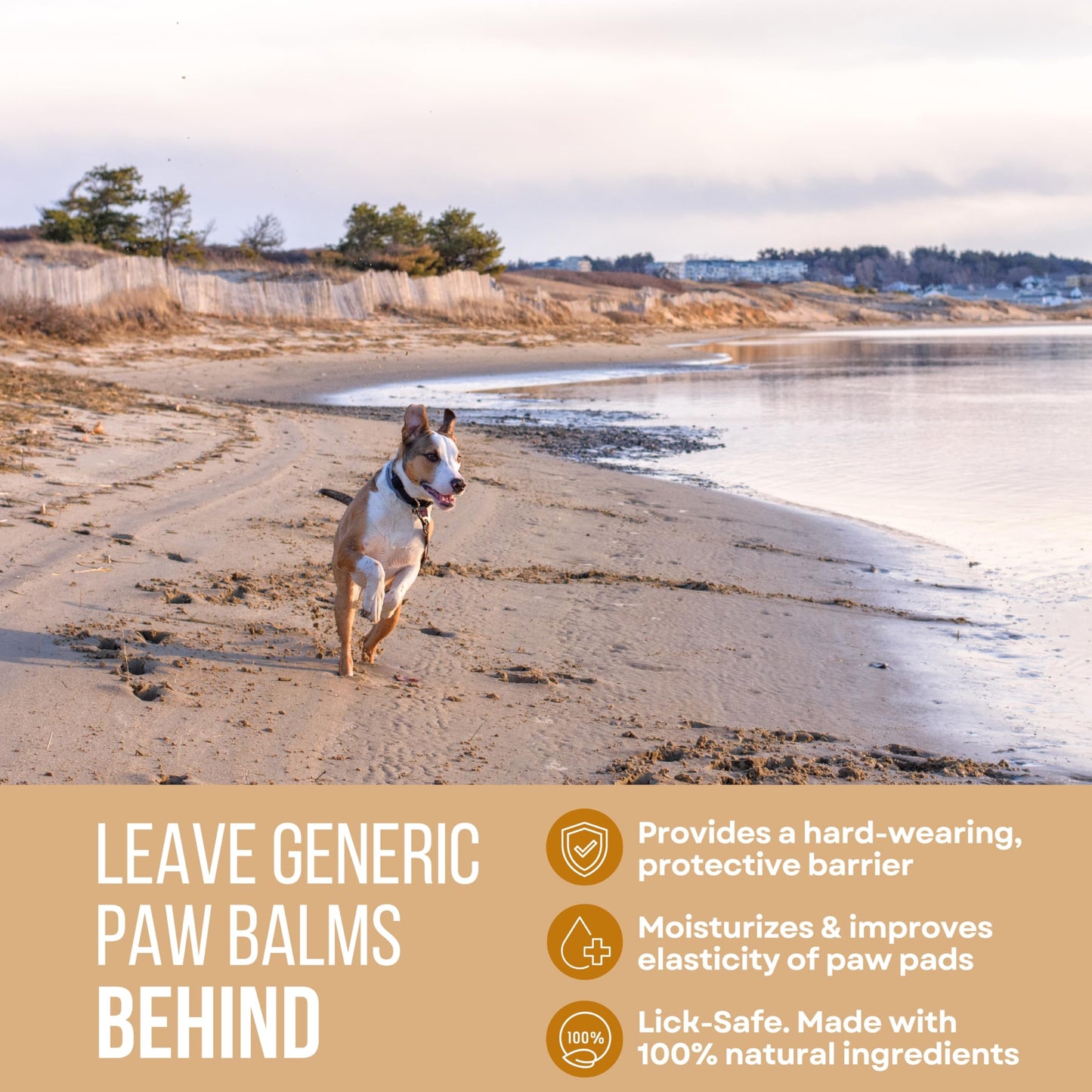 Rhino Wax - Dog Paw Beach Wax 2oz - Protects Against Sharp Rocks, Hot Sand, Glass, Coral, or Other Hazards at Beaches - Moisturizes and Improves Elasticity - Lick Safe - Natural Ingredients - USA Made