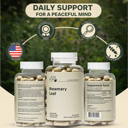 Rosemary Leaf Extract 500mg, 90 Vegan Capsules, Herbal Supplement for Memory, Focus, Digestion, Inflammation & Hair Health, Gluten-Free, Plant-Based