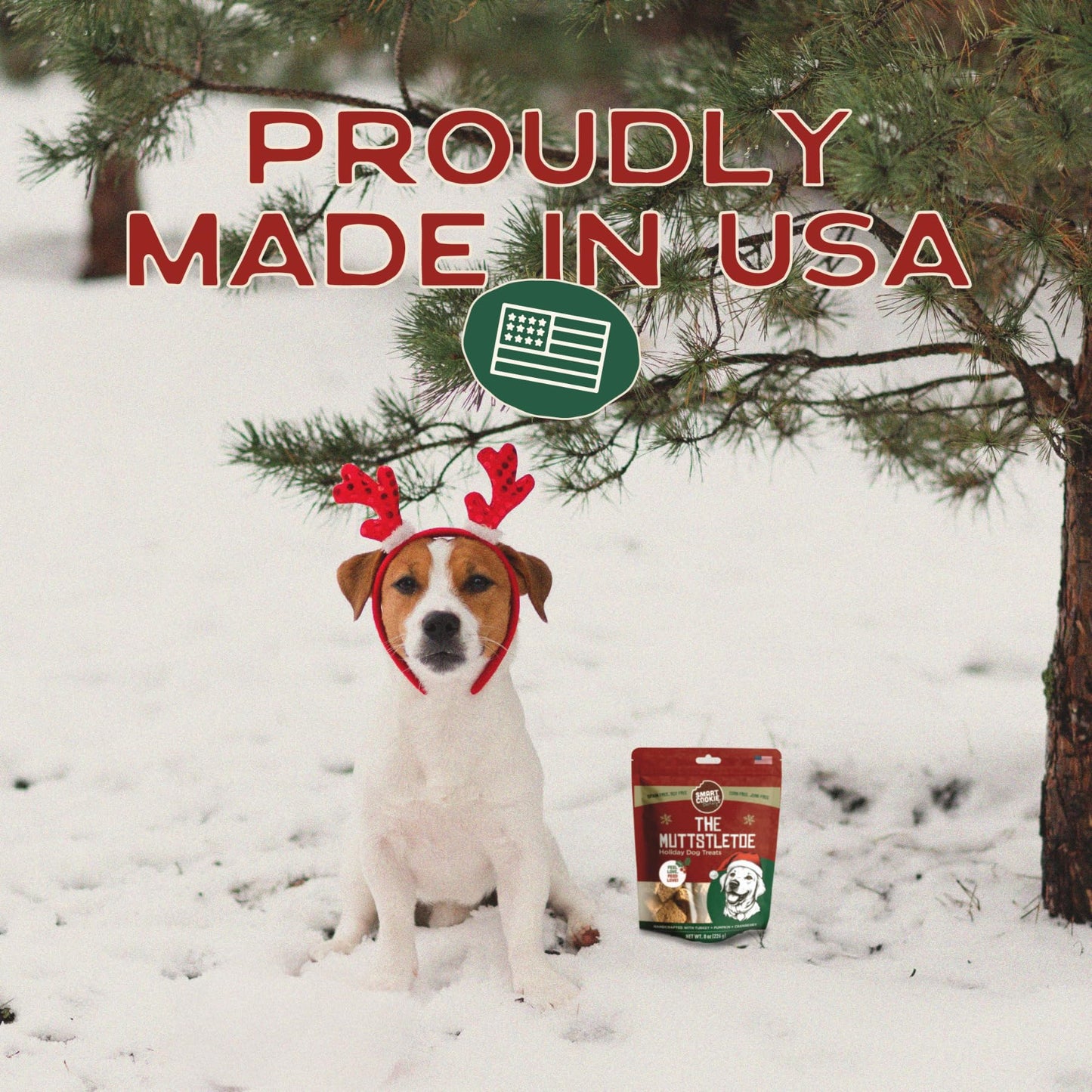 Smart Cookie Muttstletoe Holiday Dog Treats - Turkey, Pumpkin and Cranberry Christmas Dog Treats - Healthy, All Natural, Grain Free, Human-Grade - Made in USA - 8oz