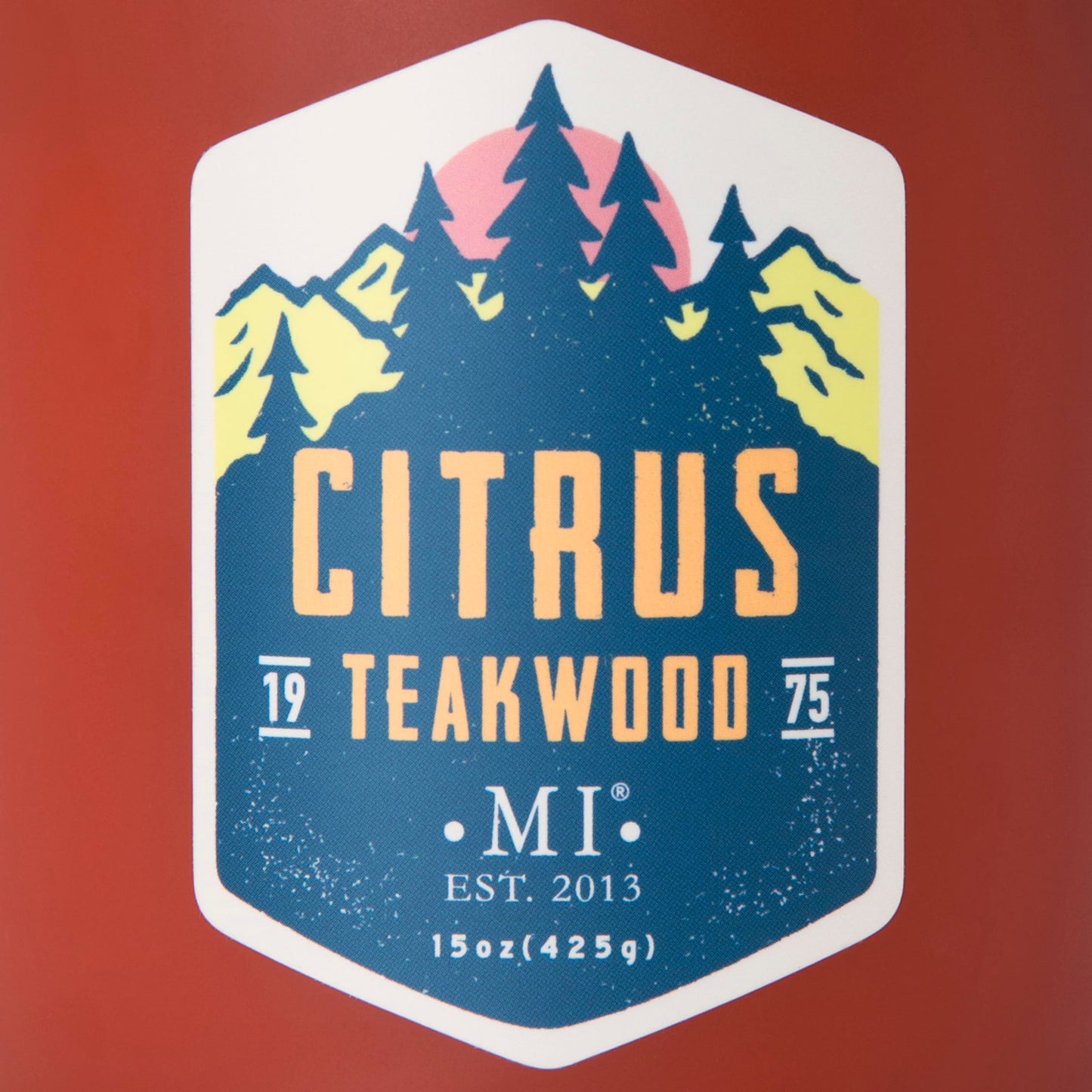 Manly Indulgence Citrus Teakwood Scented Candles for Men, 2 Wick, 15 oz Premium Soy Blend Wax, 60H Burn, Candles for Home Scented – Made in The USA