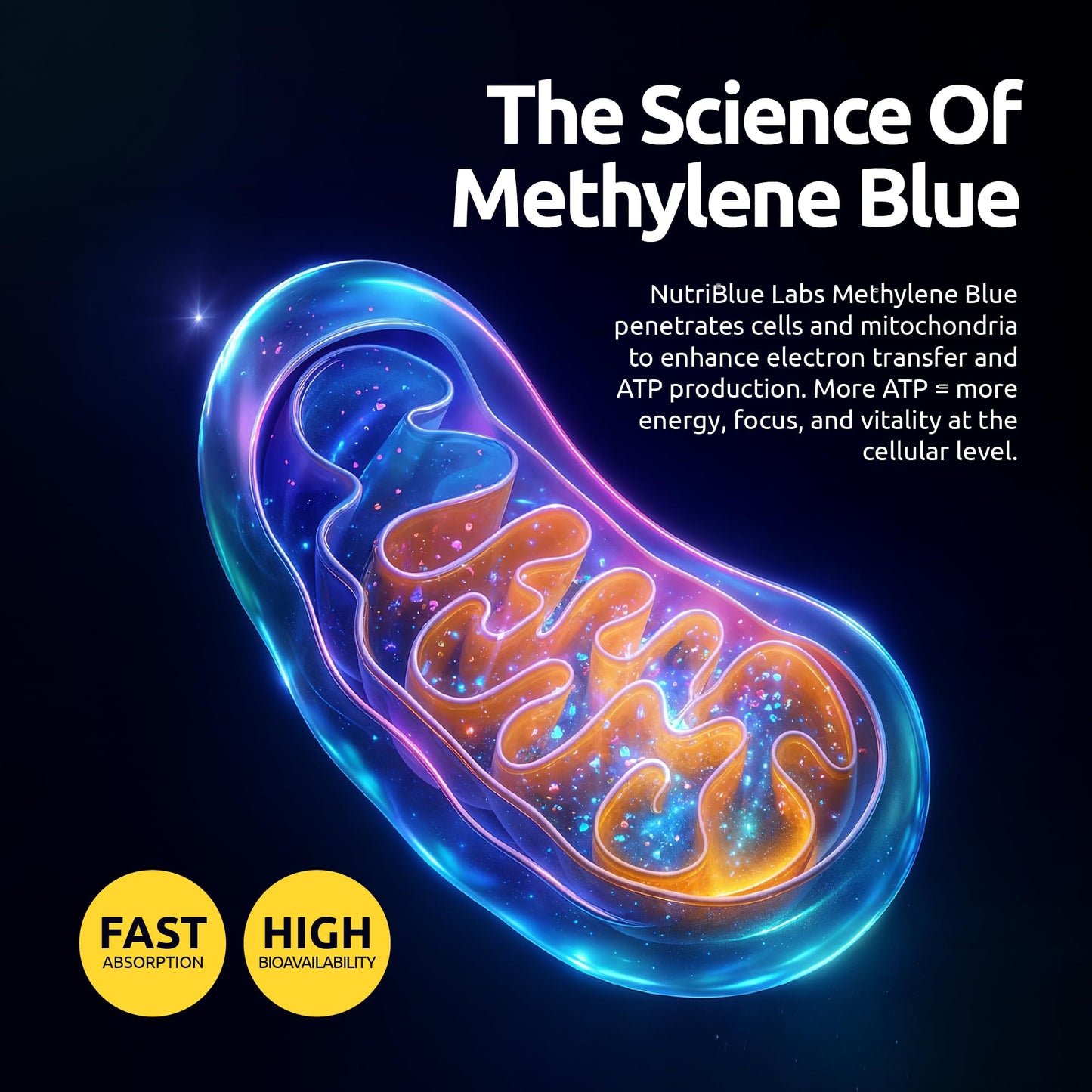 Methylene Blue 2% USP Grade Pharmaceutial Grade Solution, 3rd Party Tested, No Formaldehyde, Made in USA - 50 ML