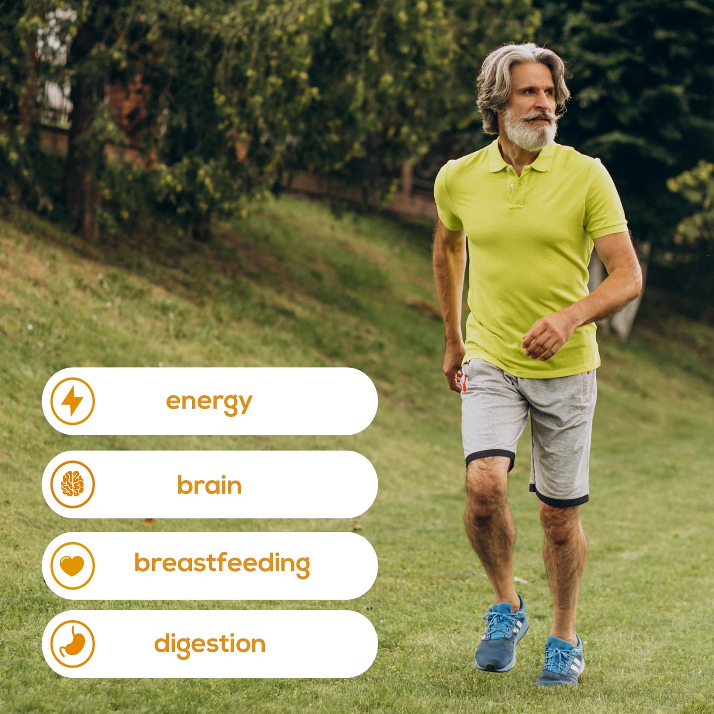 HARMONIFY Sunflower Lecithin Wellness Supplement, 2050 mg High-Potency, Non-GMO & Gluten-Free, 60 Softgels, Proudly USA Company