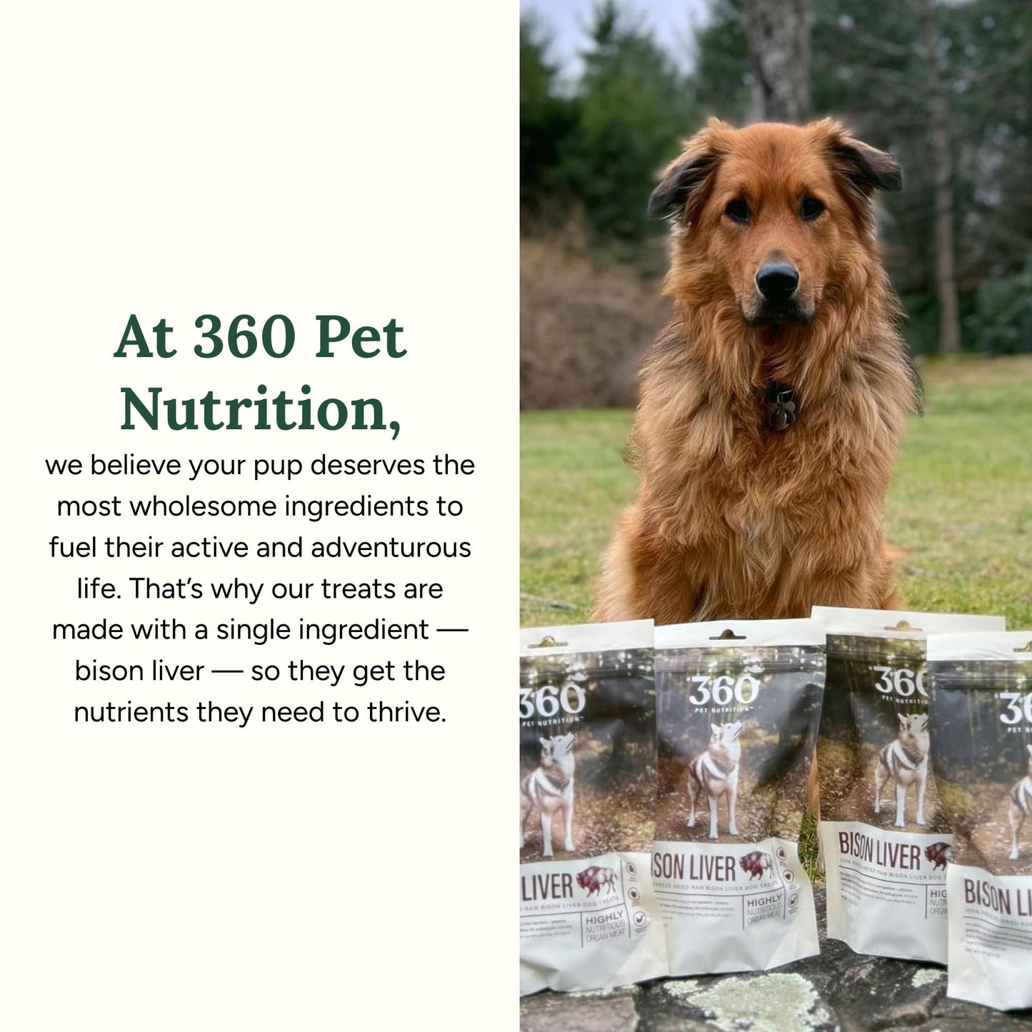 360 Pet Nutrition Freeze-Dried Raw Bison Liver Dog or Cat Treats/Bites, 1-Ingredient, High Protein, No Grain, Made in USA, All-Natural, 4 oz (Bison Liver), Healthy, Training Snacks, Premium Quality.