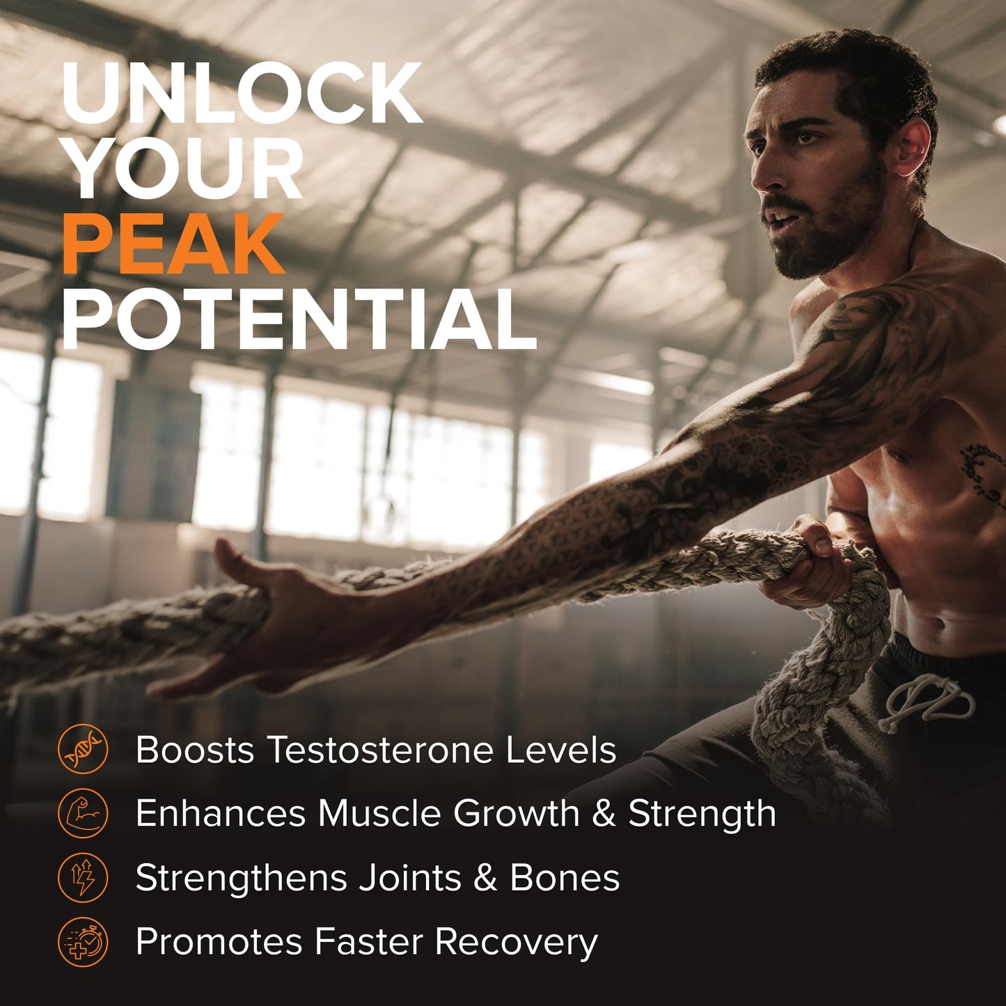 Peak Potential 12-in-1 Testosterone Support for Men – Natural Strength, Energy & Muscle Builder with Tongkat Ali, Ashwagandha & Fenugreek – 90 Capsules