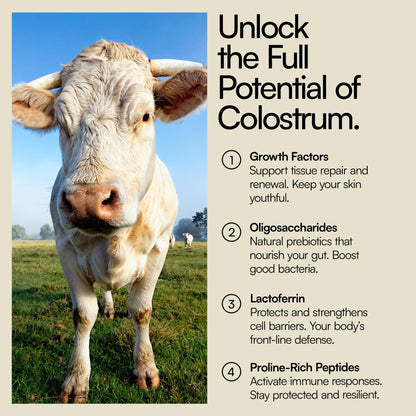 Heylo Premium Colostrum Powder – 100% Pure, Grass-Fed Bovine 40% IgG Supplement, Natural Gut Health Bloating Immunity Skin & Hair, Muscle Recovery, Rich in Immunoglobulins, 60 Servings