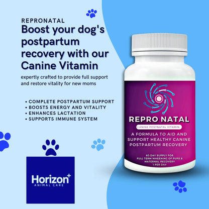 Canine Postnatal and Postpartum Vitamin Capsules for Dogs - 60-Day Supply- Aid in Full-Term Maternal Recovery, Improve Health After Birth -ReproNatal™ Dog Supplement
