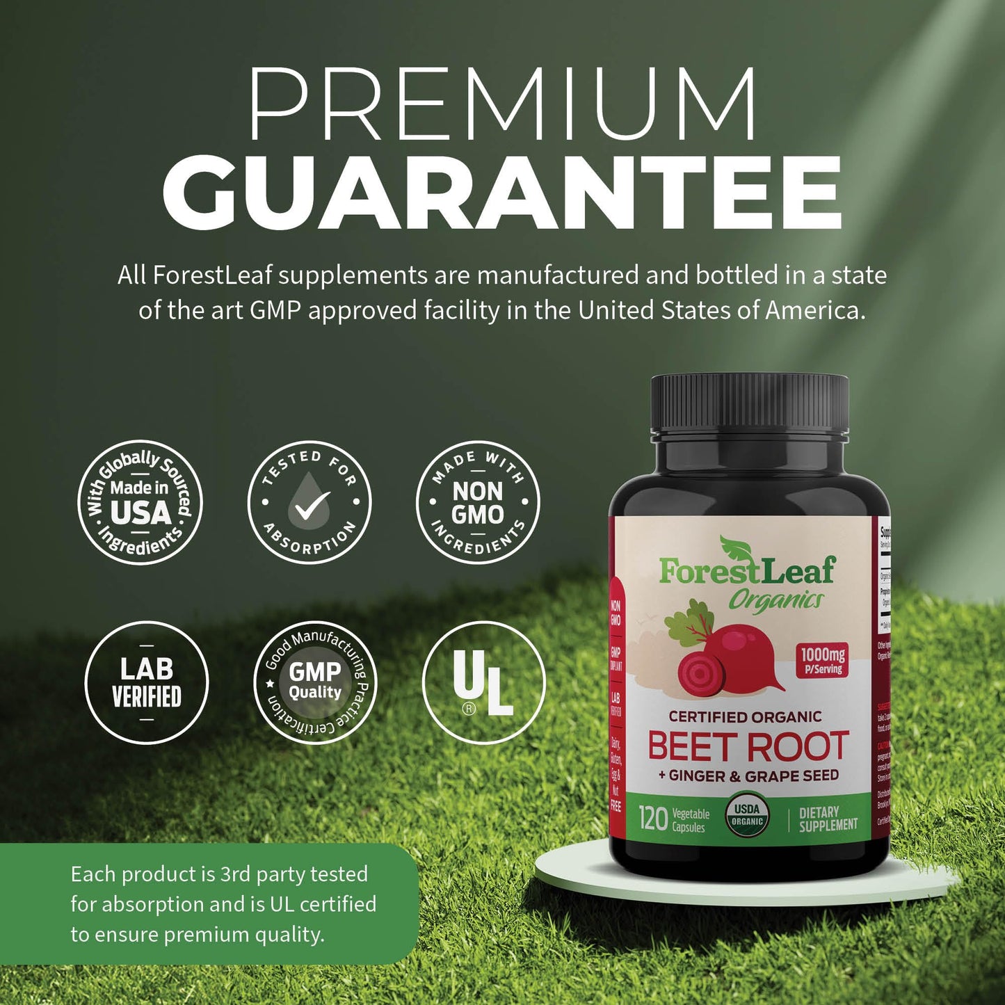 ForestLeaf Beet Root Capsules, 1000mg, 20:1 Extract, with Ginger, Grape Seed, Supports Blood Flow, Energy (120 Count (Pack of 2))