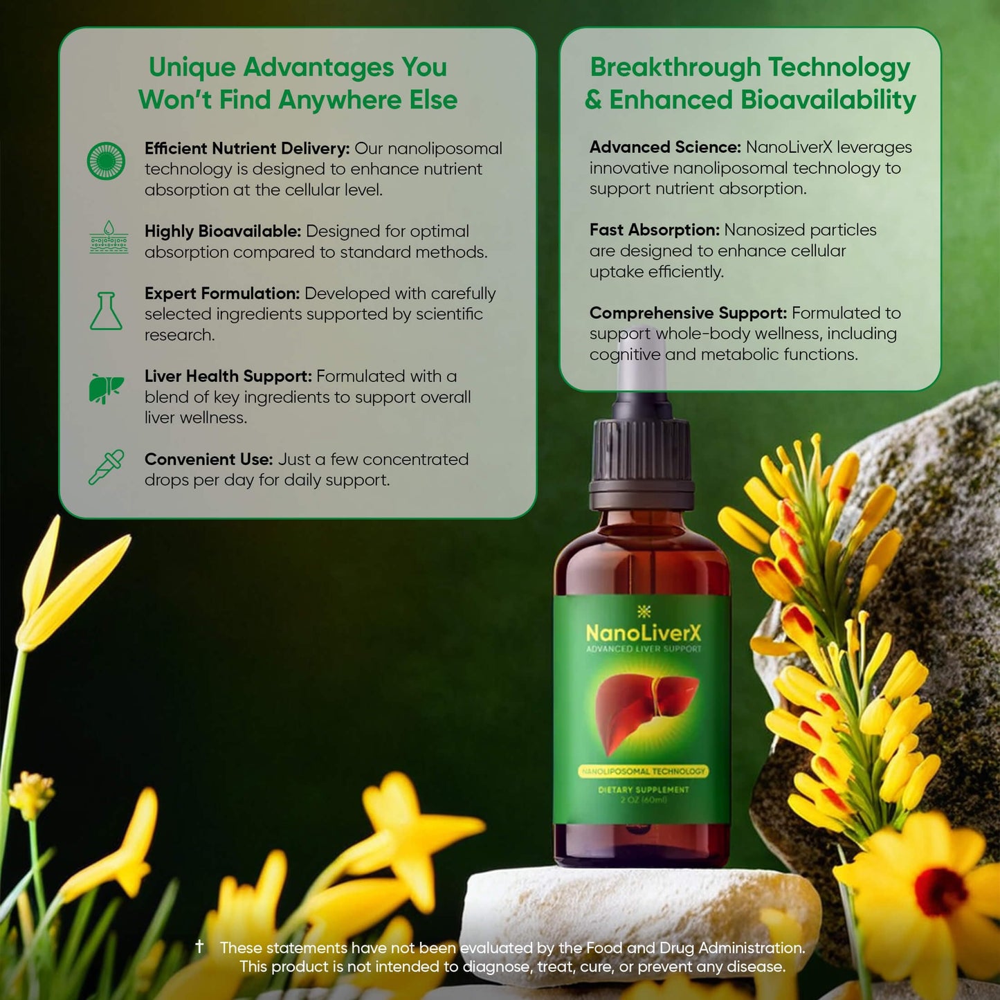 NANOREVIVE NanoLiverX - Nanoliposomal Silymarin Revitalized Liver Health Liquid Drops - Support Liver Cleanse Detox & Repair - Liver Supplement with Milk Thistle Silymarin Extract, Artichoke and More