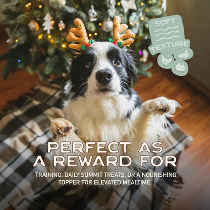 Smart Cookie Turducken Holiday Dog Treats - Turkey, Duck and Chicken Christmas Dog Treats - Healthy, All Natural, Grain Free, Human-Grade - Made in USA - 5oz