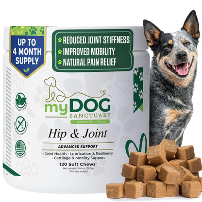 My Dog Sanctuary Hip & Joint Supplement for Dogs – 120 Soft Chews, Bacon Flavor | Glucosamine, Chondroitin & MSM for Mobility, Flexibility & Cartilage Support | for All Breeds
