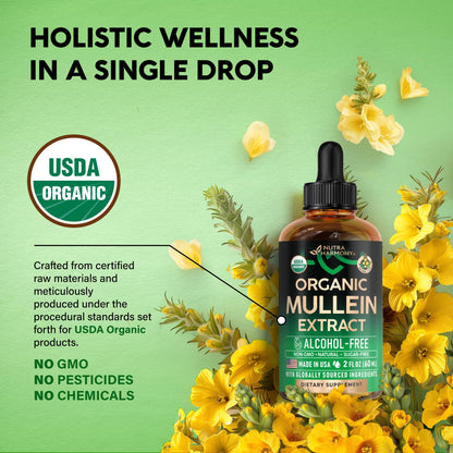 Mullein Drops for Lungs - USDA Organic Liquid - Mullein Leaf Extract Supplement - Made in USA - Lung & Bronchial Cleanse for Smokers - Respiratory Health Support - As Tincture, Tea, Pills - 2 fl oz