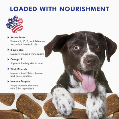 Pawfetto Advanced Daily Multivitamin Support for Dogs, Multi-Vitamin and Mineral Supplement with Essential Fatty Acids and Antioxidants, Vegetable Flavour, Perfect For Your Pampered Pet (60 Dog Chews)