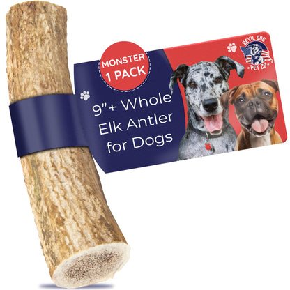 Devil Dog Pet Co. Elk Antlers for Dogs, Monster 9"+, 1 Pack, Grade A Long Lasting Chew for Aggressive Chewers, Premium USA Naturally Shed Antler – Healthy, No Odor, Durable Dog Chew