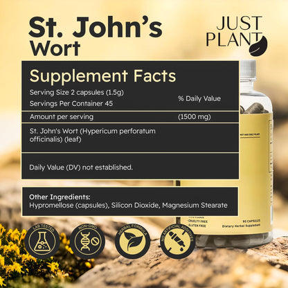 Just Plant St. John’s Wort Supplement 750 mg, 90 Vegan Capsules with Hypericum Perforatum Extract Herbal Mood & Stress Support Gluten-Free, Non-GMO