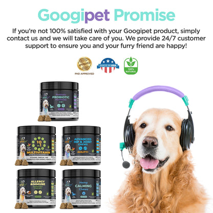 Googipet Probiotics for Dogs Digestive Health - Prebiotics and Probiotics Chews for Dogs Gut Health + Digestive Enzymes - Dog Probiotics for Yeast Itchy Skin Itchy Ears w/Papaya, Pumpkin, & Fiber