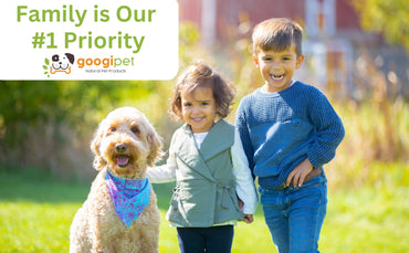 Googipet Probiotics for Dogs Digestive Health - Prebiotics and Probiotics Chews for Dogs Gut Health + Digestive Enzymes - Dog Probiotics for Yeast Itchy Skin Itchy Ears w/Papaya, Pumpkin, & Fiber