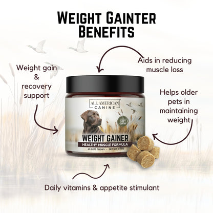 All American Canine Dog Weight Gainer Chews – High Calorie Dog Food Supplement for Rapid Weight Gain, Mass, and Recovery – Appetite Stimulant – 60 Chews
