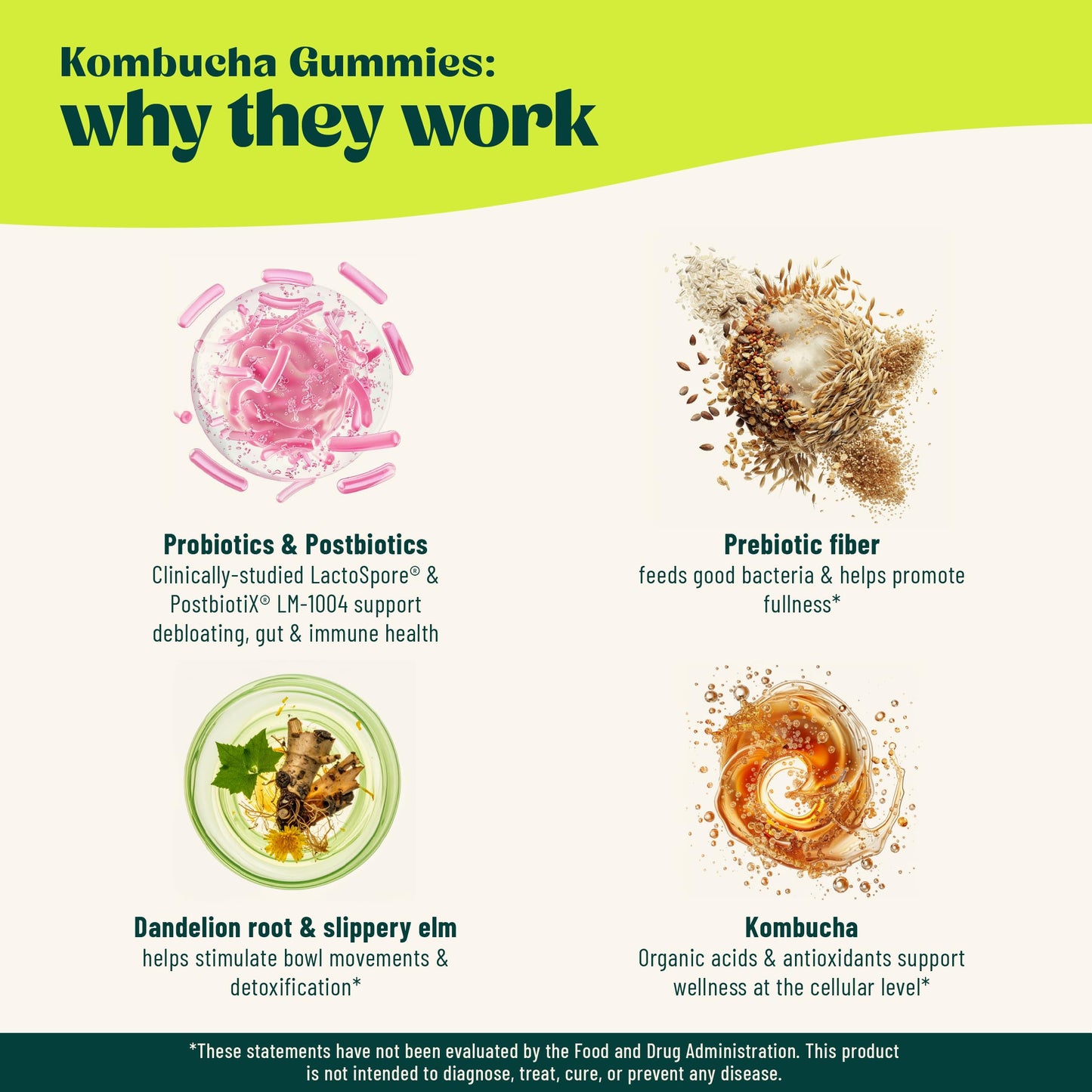 BoochBod - Probiotic Kombucha Gummy - Prebiotics, Probiotics, Postbiotics, Fiber Supplement, Slippery Elm, Dandelion Root, MCT Oil, for Bloating, Gut Health - Probiotics for Women and Men