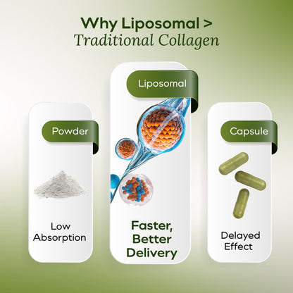 Liquid Collagen for Women - Vegan Collagen Liposomal Supplement - Ultra Absorption, Plant Based with Bamboo Extract, Vitamin C, Amino Acids - Skin, Hair, Nail, Joint Support - Maple Mocha 30 Servings