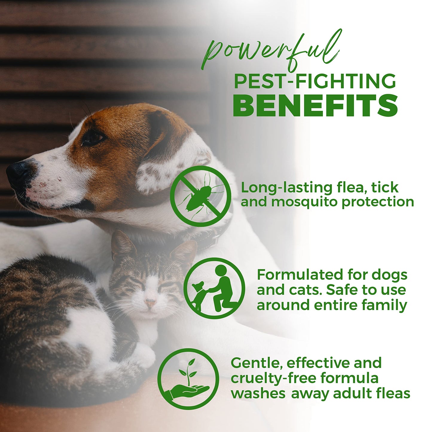 PawPurity Flea/Tick Shampoo, Natural Plant & Mineral-Based Ingredients Only, Improves Dog & Cat Skin & Coat Health, Honeysuckle-Citrus Scent, Eco Friendly Product & Packaging Made in USA (8OZ)