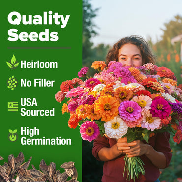 HOME GROWN Zinnia Seeds for 2025 - California Giant Mix - 7,300+ (2 oz) 𝗡𝗢𝗡-𝗚𝗠𝗢 𝗨𝗦𝗔 Plant Wildflower Blooms – Bulk Seeds for Planting Flowers Outside - Pollinator Gardens (Zinnia elegans)
