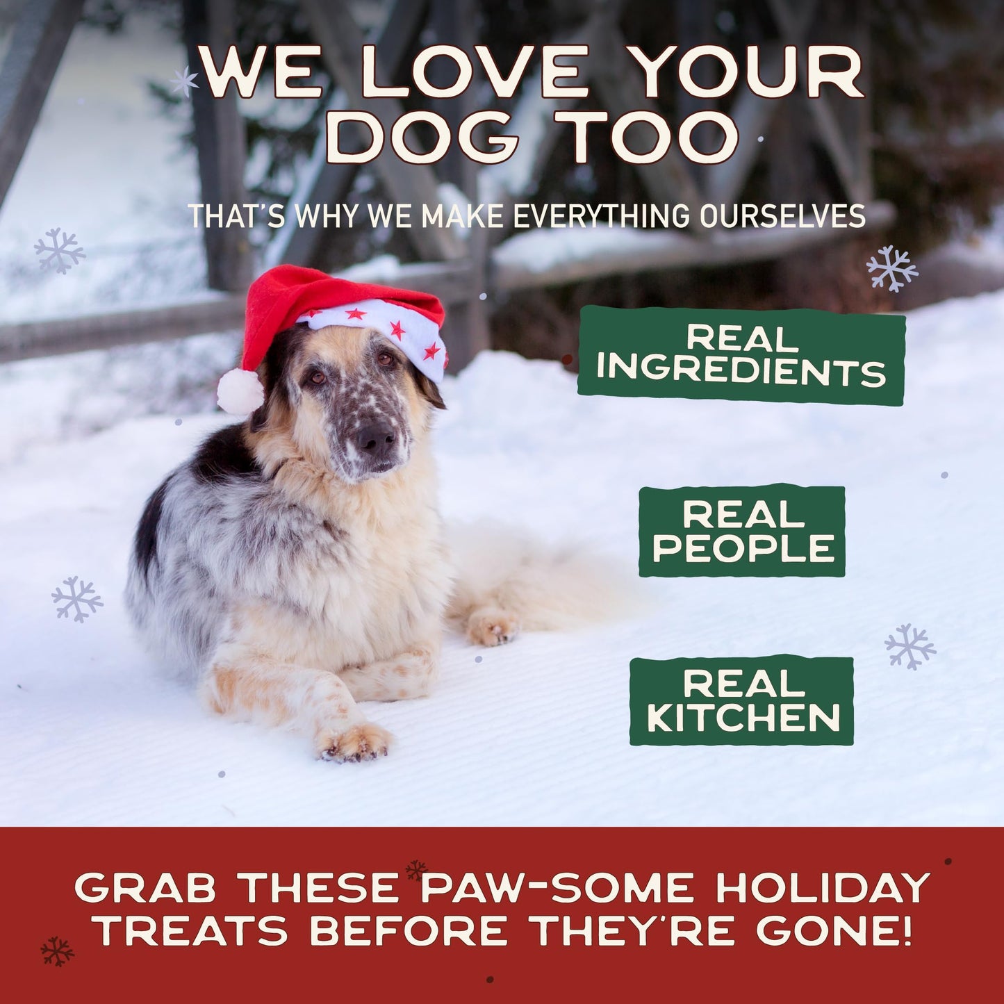 Smart Cookie Muttstletoe Holiday Dog Treats - Turkey, Pumpkin and Cranberry Christmas Dog Treats - Healthy, All Natural, Grain Free, Human-Grade - Made in USA - 8oz