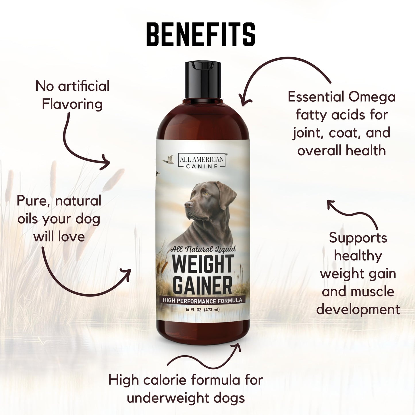 All American Canine Dog Weight Gainer Liquid – High Calorie Dog Food Supplement for Rapid Weight Gain, Mass, and Recovery – Appetite Stimulant – 60 Servings