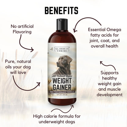 All American Canine Dog Weight Gainer Liquid – High Calorie Dog Food Supplement for Rapid Weight Gain, Mass, and Recovery – Appetite Stimulant – 60 Servings
