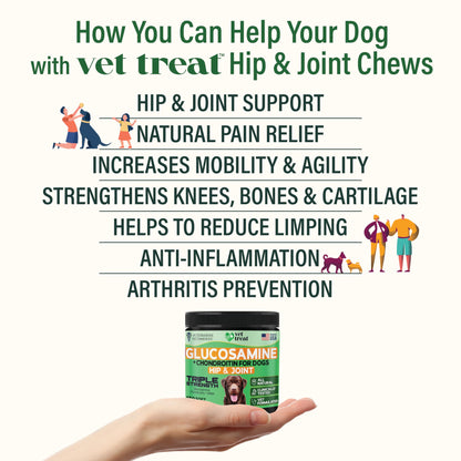 Glucosamine for Dogs – Hip & Joint Supplement with Chondroitin, MSM, Turmeric, Hemp Oil & Green Lipped Mussel – Arthritis Pain Relief, Mobility Support – Vet-Formulated, USA Made – 120 Chews