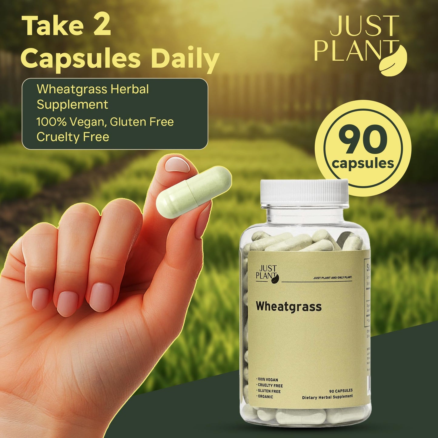 Organic Wheatgrass Capsules 500 mg, 90 Capsules | Vegan, Gluten-Free | Green Superfood Supplement for Detox, Energy, Digestion & Immune Support