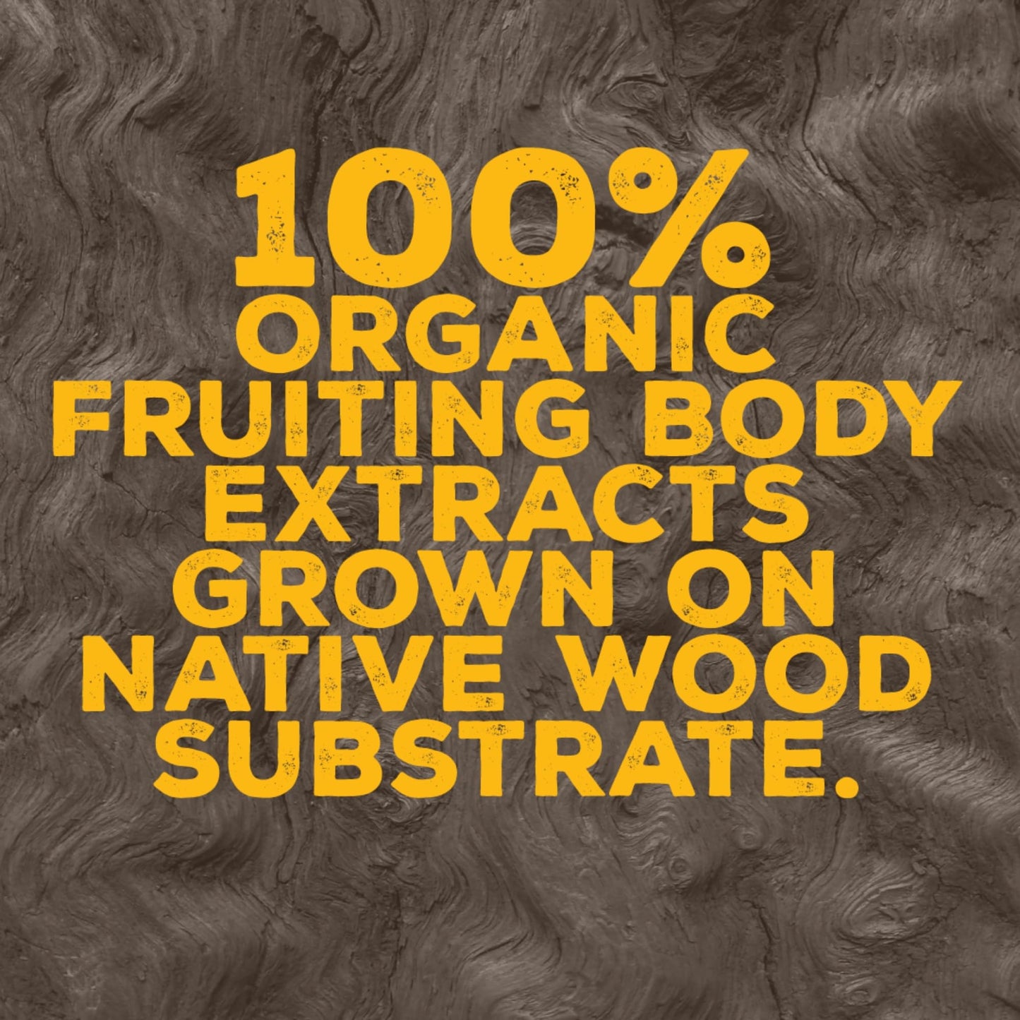 OH MY FUNGI GUMMIES Mushroom Supplement for Brain Health Support – Lions Mane, Cordyceps, B12, DMAE – Vegan Gummy for Focus, Energy & Clarity – Raspberry Peach Flavor (60 Count)