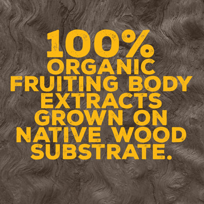 OH MY FUNGI GUMMIES Mushroom Supplement for Brain Health Support – Lions Mane, Cordyceps, B12, DMAE – Vegan Gummy for Focus, Energy & Clarity – Raspberry Peach Flavor (60 Count)