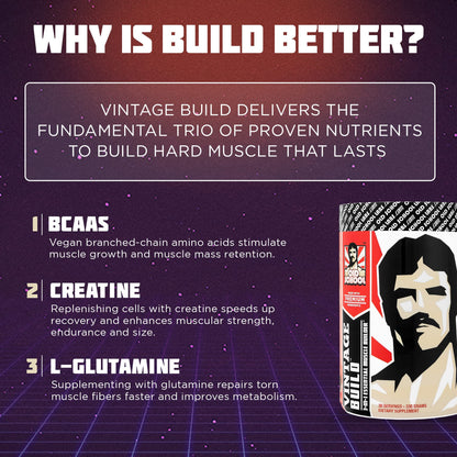 Vintage Build – Post Workout Recovery & Muscle Building Powder Drink for Muscular Strength & Growth - Reduces Soreness – Creatine Monohydrate, BCAAs, L-Glutamine – Fresh Berries Flavor – 377g