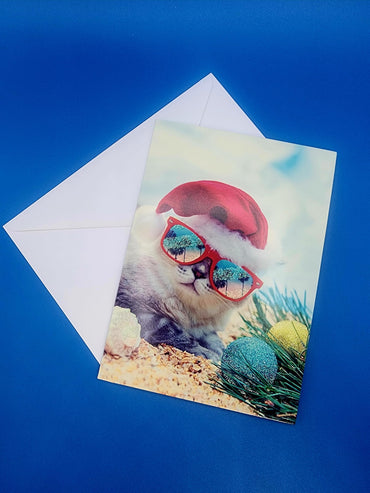 Performing Arts Luxury Funny Cat Holiday Cards with Non-Flake Glitter - Boxed set of 14 Xmas Greeting Cards with Envelopes - Santa Hat Cat design for cats lovers, featuring a beach theme - Made in USA